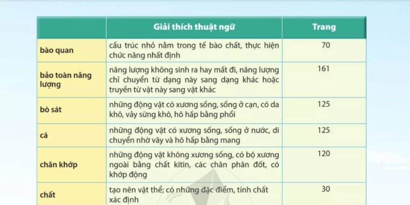 Bảng chú giải thuật ngữ (Glossary)