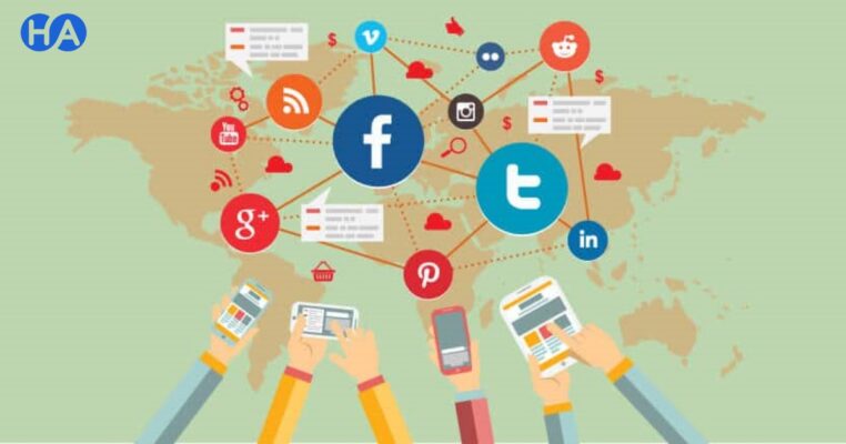Backlink Entity là gì?