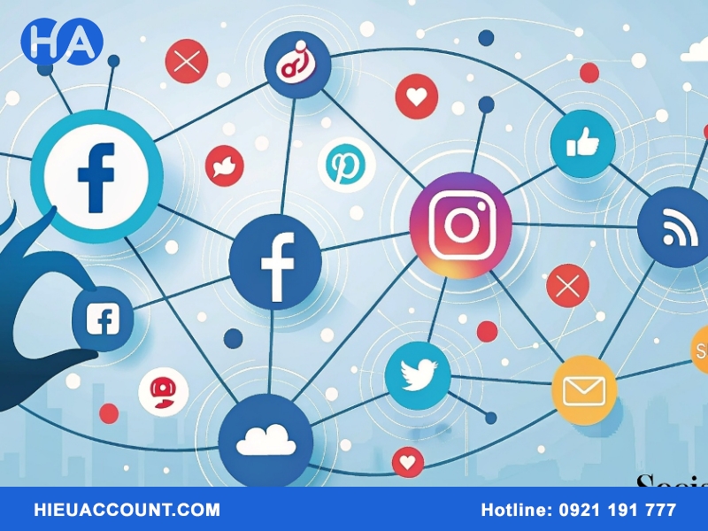 Dịch vụ chăm sóc entity chuyên nghiệp