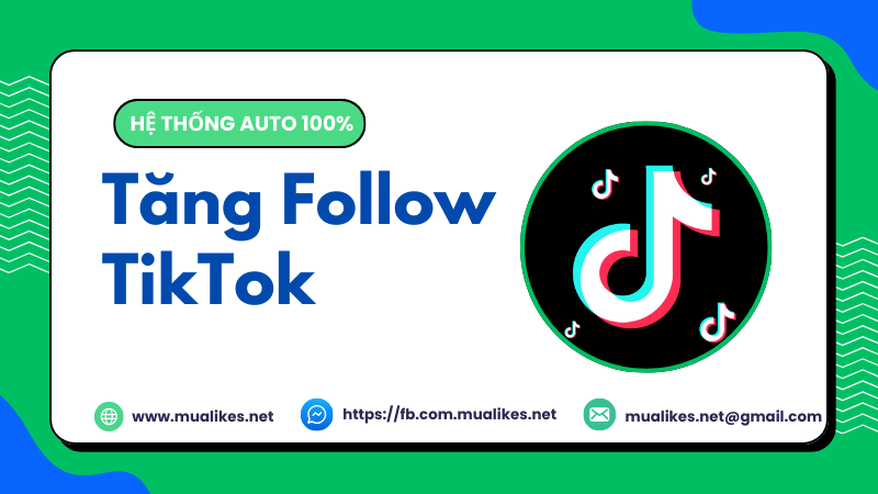 Follow tiktok đang được nhiều người sử dụng